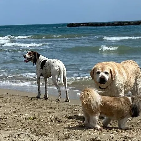 Studio_suite05 Διαμέρισμα Alba Adriatica